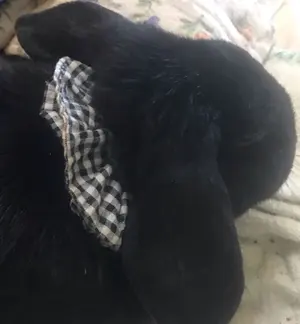 ○ドラゴン刺繍 ネイビー ベルベット○スカジャン ピンクドラゴン