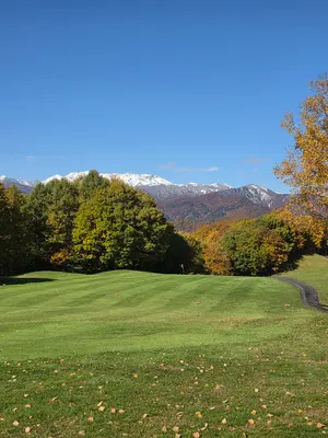 スリクソンZX7mk2アイアン 6～P/5本セット ラウネi90/S スリクソンZX7mk2アイアン 6～P/5本セット ラウネi90/S - メルカリ