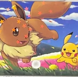 ポケモンカード RR 1000枚 まとめ売り 引退品 ② - メルカリ