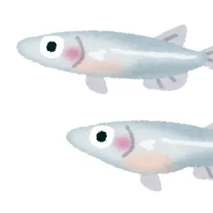 スクウェアミレニアムコレクション ゼノギアス エリィ& チュチュ