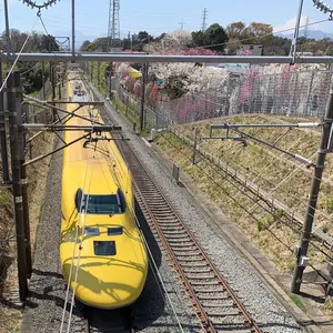 真鍮製　鉄道部品　タイフォン　汽笛 真鍮製 鉄道部品 タイフォン 汽笛 - メルカリ