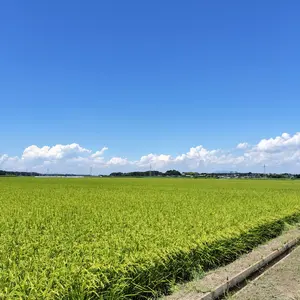 シーズン最終価格】ロシニョール EXPERIENCE E75 168cm - メルカリ