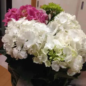 kako様 リクエスト 2点 まとめ商品 - メルカリ