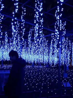 マット型温熱機器【こだわりシエスタ】 - メルカリ