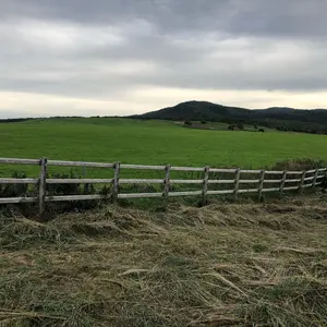 90’s　セットアップ　比翼ボタン　コムデギャルソンオムプリュス　AD1996 90's セットアップ 比翼ボタン コムデギャルソンオムプリュス