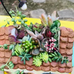 オーダー受付　リメイク鉢　リメイク缶　蛇口　プランター　植木鉢 オーダー承ります】アンティーク蛇口プランター 多肉植物 リメイク鉢