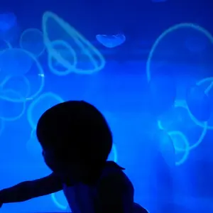 カイフランク KF486 _イッタラ アラビア アンティーク