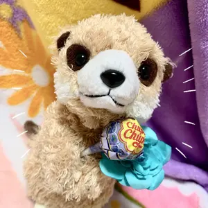 ポケモンカードゲーム 熱風のアリーナ クレイバースト 白熱のアルカナ 4BOX 強化拡張パック「白熱のアルカナ」 | ポケモンカードゲーム公式