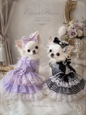 リーナベル ステラルー シェリーメイ コスチューム ハンドメイド