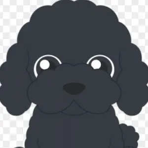 teramari♪プロフ必読様専用！新品未使用！Prince エンブレム