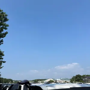 ロマネアース、ギャイア 地龍仙ロマネアース / 仙なる大地(DM22EX1 14/130) | デュエル