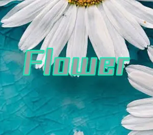 CUTIE STREET 直筆サイン 集合ワイドチェキ チェキ キュースト - メルカリ