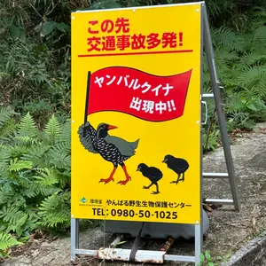 ノベルティ 激レア 寝袋 タカラ 缶チューハイ 懸賞 アザラシ 宮沢りえ