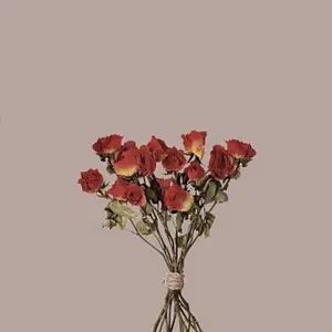 ami♡【24時間以内発送★】