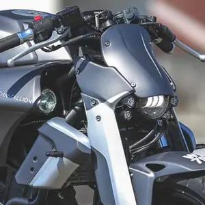 しんさ様専用。サイレンサーもどき 依頼案 - メルカリ