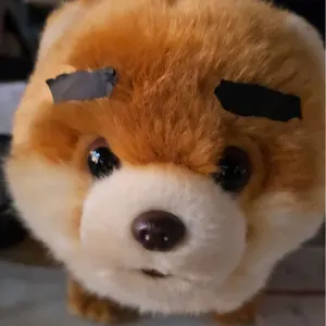 乃木坂46 井上和 2023.July-Ⅴ 制服風コーデ生写真コンプ - メルカリ