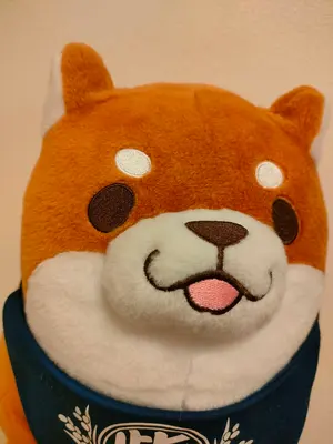 激レア】【絶版】株式トレンドを探る・商品で儲ける法 : W.D.ギャン