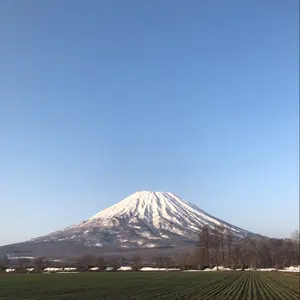 崇教真光 真光業の急所 掛け軸 - メルカリ