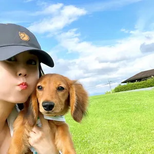 chimoco様専用ページです フリフリロンパース 犬服 つなぎ服 - メルカリ