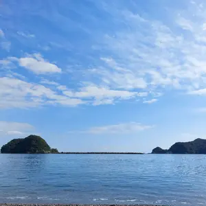 三重の寒梅 琥珀尊（こはくそん）（木箱あり） 父への誕生日プレゼント