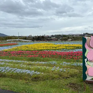 ゆうぽん
