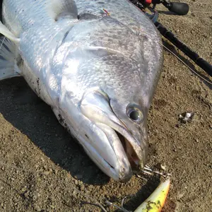 Abu Garcia XROSSFIELD ルアーロッド 8'6