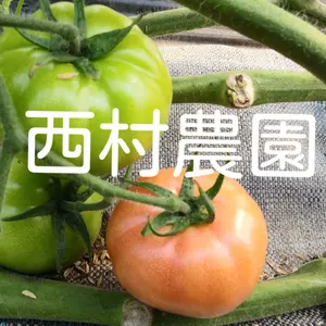 熊本産地直送トマト - メルカリ