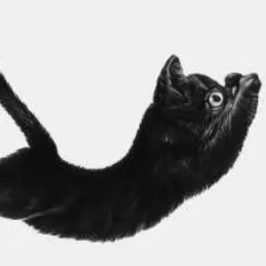 COPAL キャスロン401 渡辺力 | Shop at Mercari from Japan! | Buyee