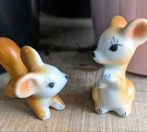 胡蝶蘭 クリームメロン 母の日 鉢花 室内 - メルカリ