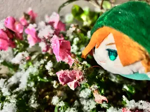 fgo ロビンフッド ロビン バレンタイン 名も知れぬ記念銀貨 ピンバッジ