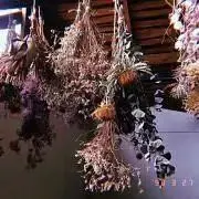 透明標本 魚 オニオコゼ - メルカリ