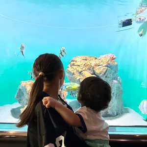 エリンギ⭐︎希望価格コメントください♡