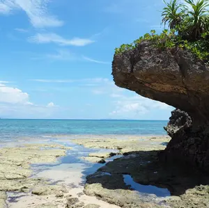 キョロちゃん オリジナルサウンドトラック 2 Amazon.co.jp: キョロちゃん サントラ(2): ミュージック