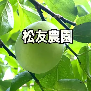 鶯宿 青梅 大中小混合 3kg 無農薬 岡山県産 農家直送 - メルカリ