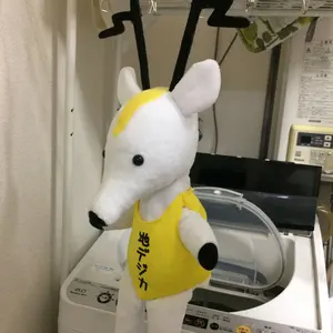 s*j様 バレーボール日本代表　野中瑠衣選手　サイン入りポーチ s*j様 バレーボール日本代表 野中瑠衣選手 サイン入りポーチ - メルカリ