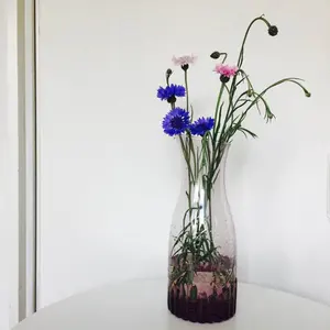 MOONPEARL & MIKIMOTO 保湿クリーム サンプル40枚セット - メルカリ