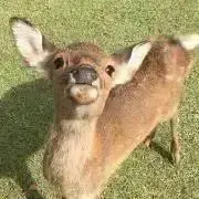 檀健次 タンジェンツー セット - メルカリ