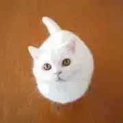 ななせ‎‎❁⃘