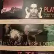 クリスマスマスローズプロフ読んで下さい☆