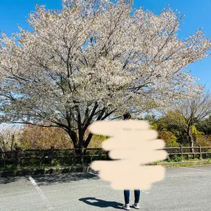i*e様 緊急値下げ中 新品未開封 凡才 ベルト made in yp アメカジ