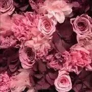 UV 2WAYハット（広つば） 石井美保 mihoishii - メルカリ