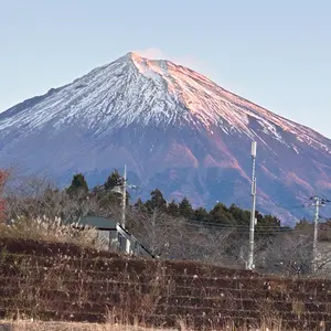 Ballistics HX COT UNDER SHEET BSA-2005 - メルカリ