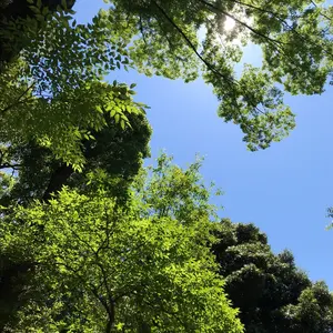 強者 地下格闘技 DVD 6枚セット - メルカリ