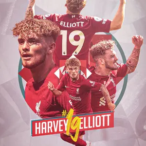 優勝記念品/日本未発売】 リバプール チャンピオン マフラー カラバオ