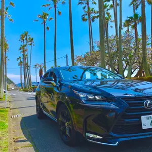 夏までにお宝リオパイポSALEボディーボードセット手渡し可 プロ使用