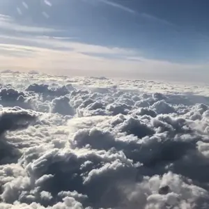 気志團 ジッパージャケット 黒センチメンタルジャージ XLサイズ 新品未