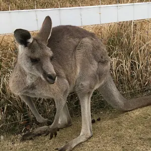 mina30様 リクエスト 2点 まとめ商品 基礎トレ 基礎力定着テスト 6年