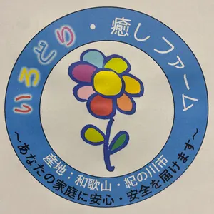 和歌山紀の川市産 青梅 約1.3キロ (箱込み) 「農薬：栽培期間中不使用