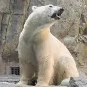 SOLD完売 正規品DEATH NYC ポップアート ナイキ　NIKE Yahoo!オークション - 世界限定100枚 DEATH NYC アートポスター