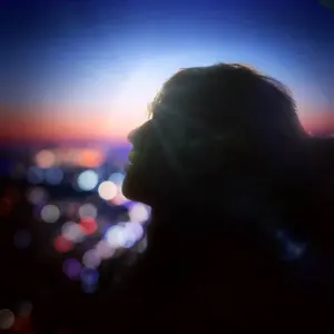 使用歴1ヶ月未満】HEALSIO 26L ウォーターオーブンレンジ 【美良品